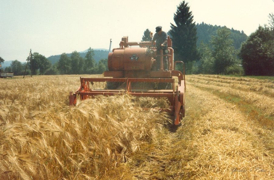 MF Drescher 06